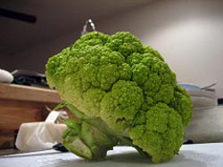 Broccoflower