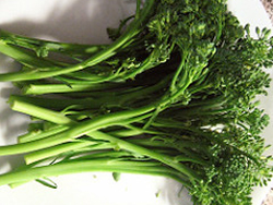 Broccolini